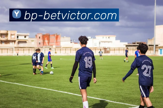 App Interface Preview