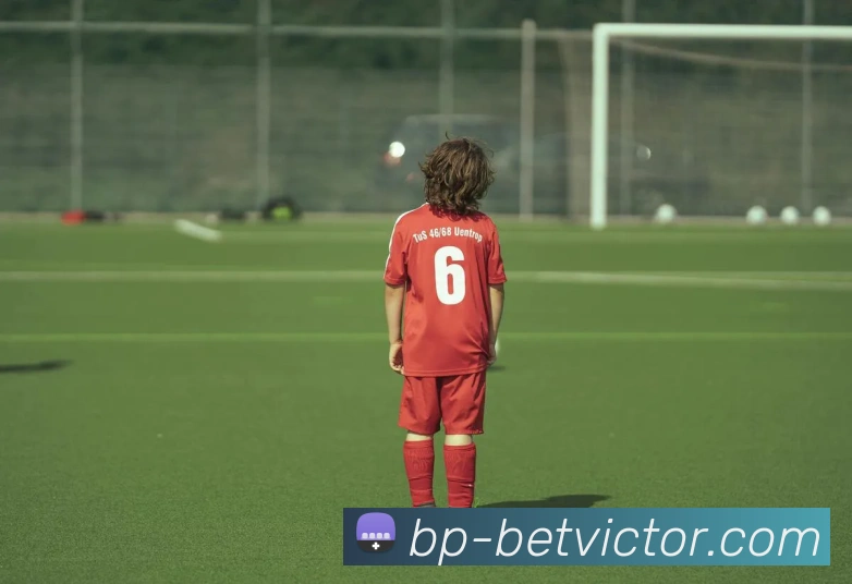 伟德国际官网APP 封面图